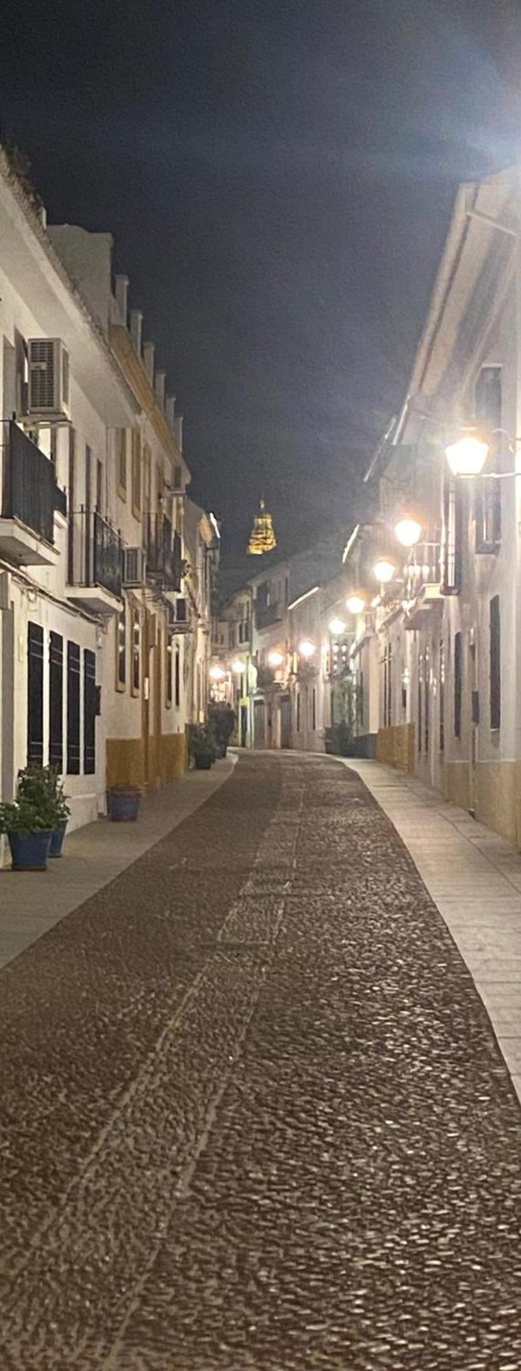Enmitatiko Alcazar Viejo Apartman Córdoba Kültér fotó