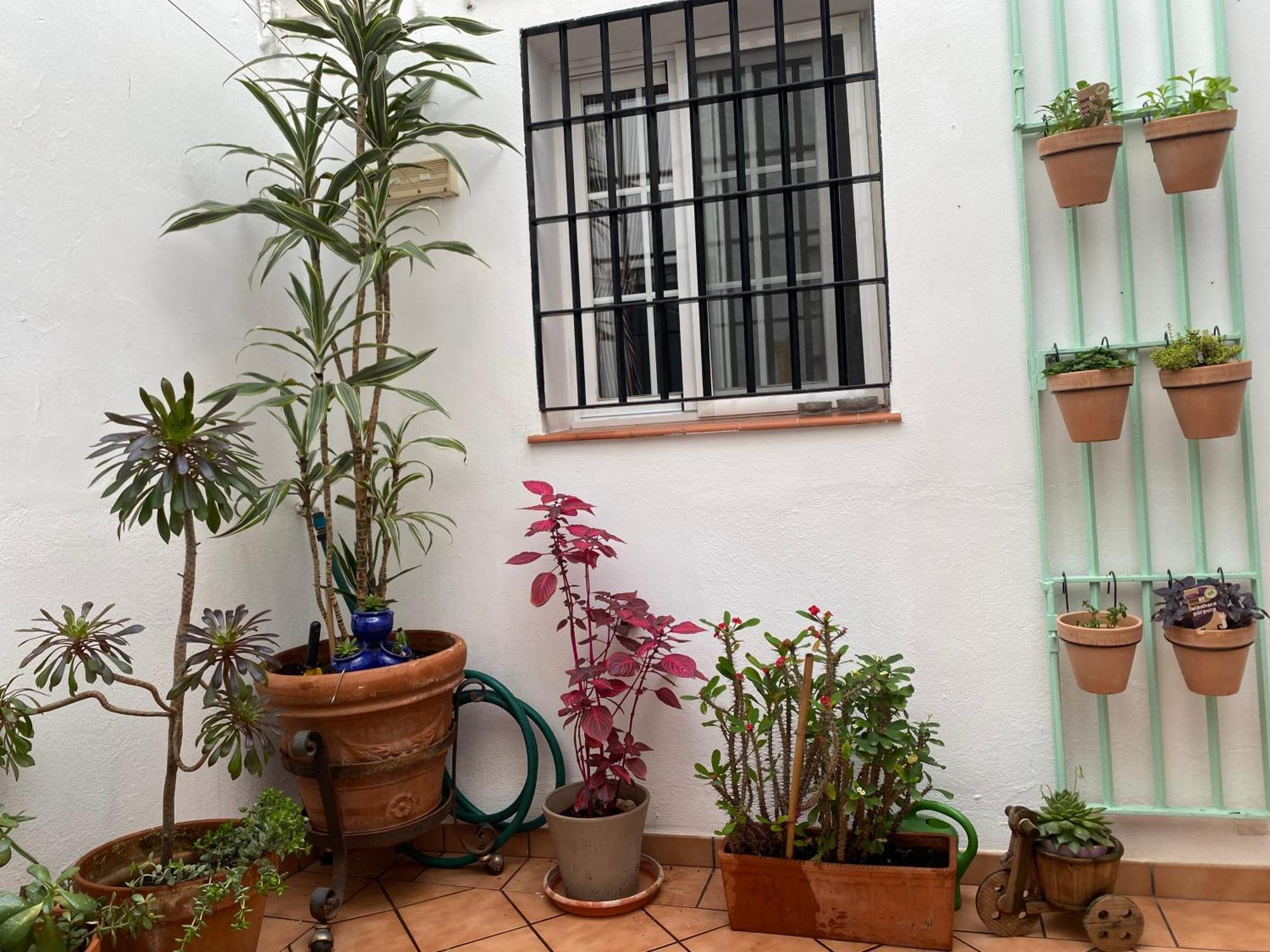 Enmitatiko Alcazar Viejo Apartman Córdoba Kültér fotó